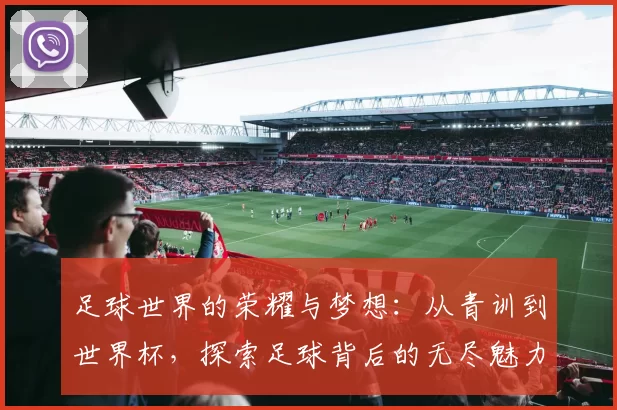 足球世界的荣耀与梦想：从青训到世界杯，探索足球背后的无尽魅力与故事