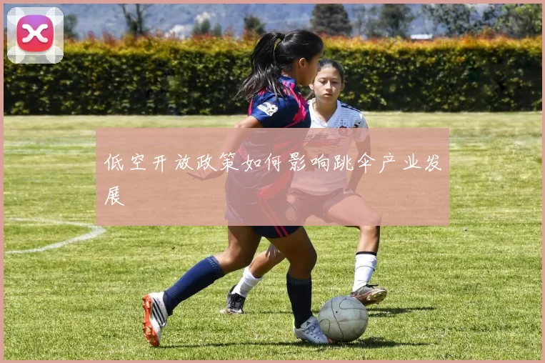 低空开放政策如何影响跳伞产业发展