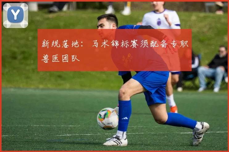 新规落地：马术锦标赛须配备专职兽医团队