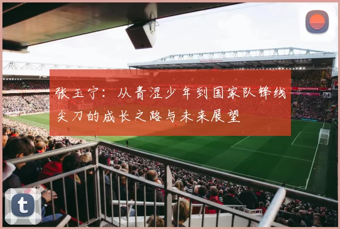 张玉宁：从青涩少年到国家队锋线尖刀的成长之路与未来展望
