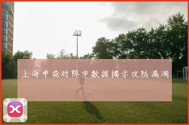 上海申花对阵中数据揭示攻防漏洞