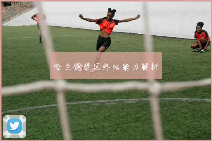 哈兰德禁区终结能力解析