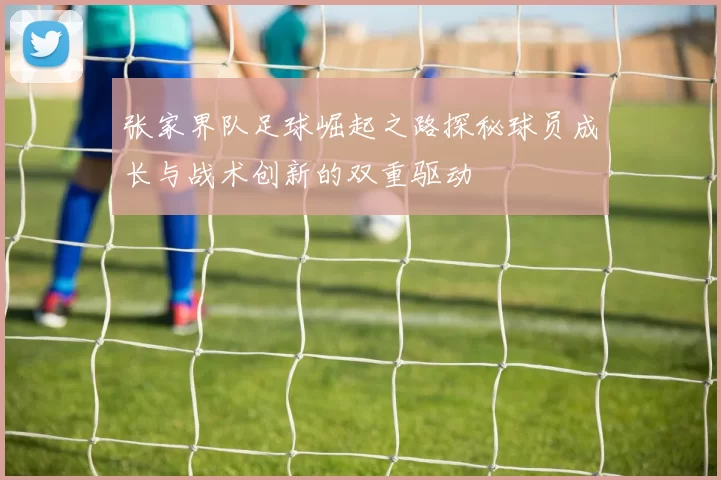 张家界队足球崛起之路探秘球员成长与战术创新的双重驱动